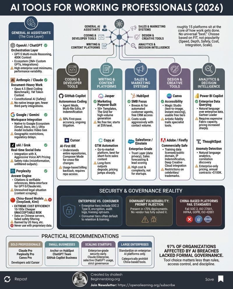 Fred Steube tweet media