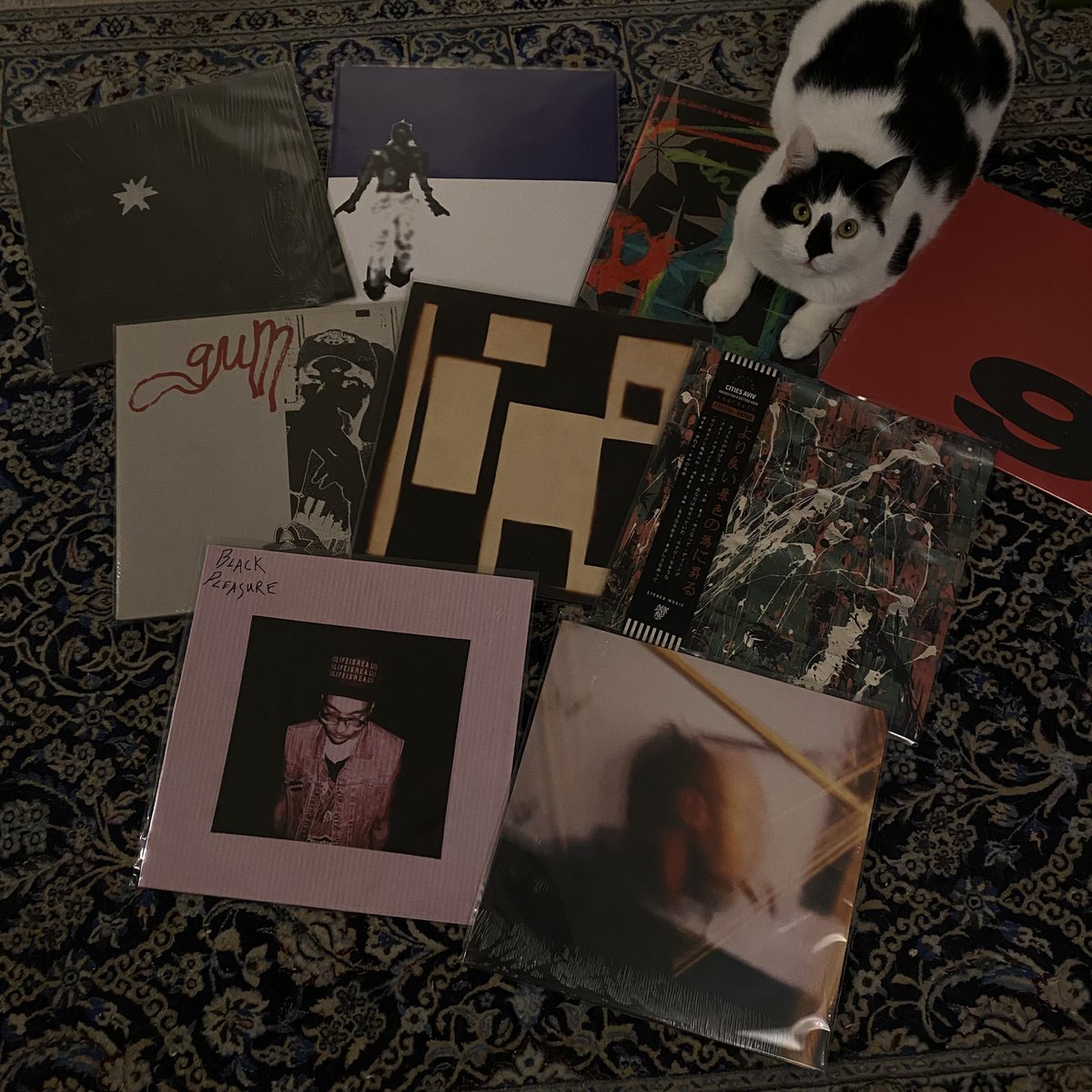 Blues Traveler tweet media