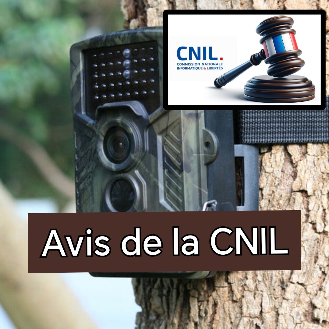 SDPM - BUREAU NATIONAL tweet media