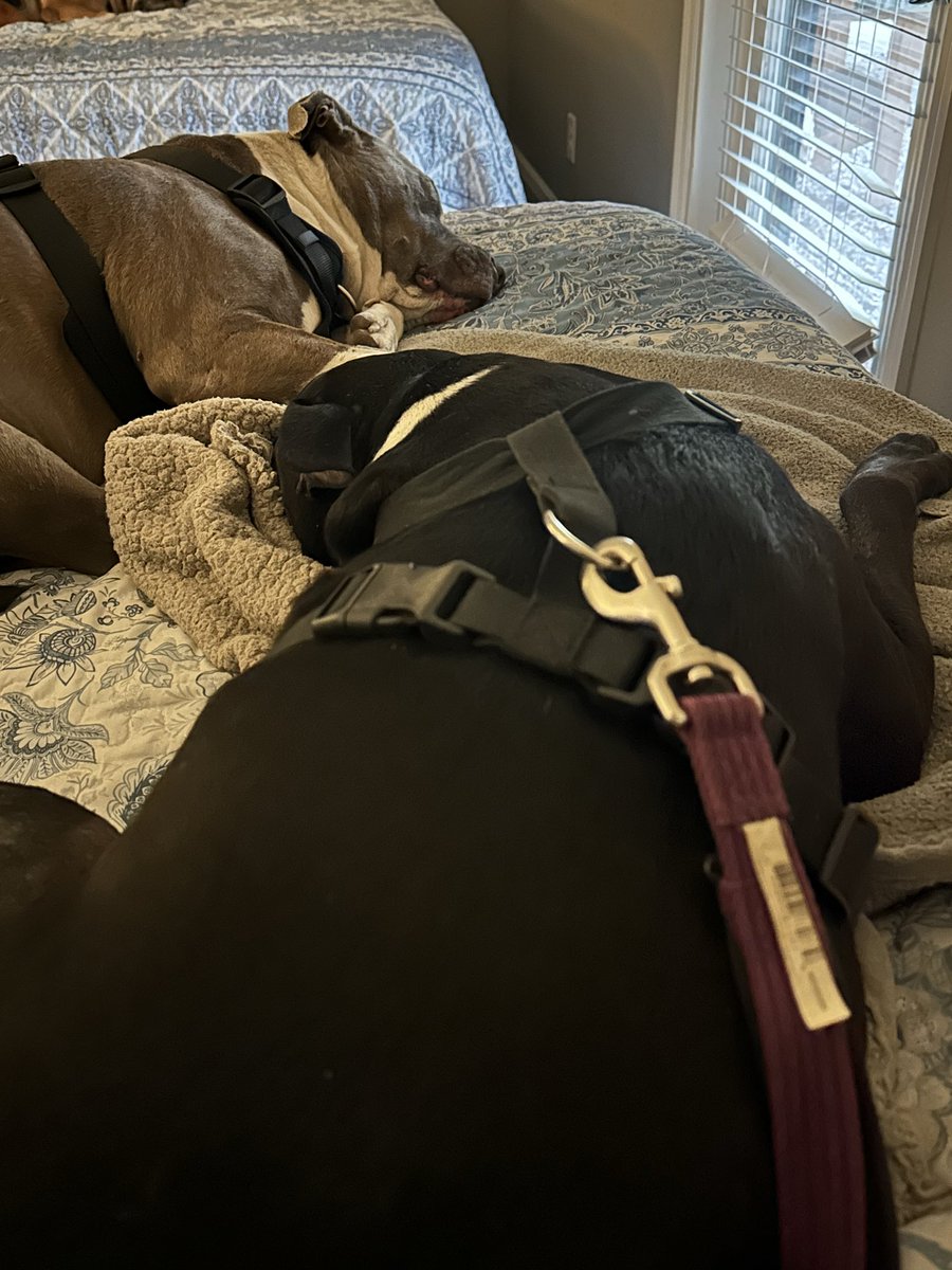 Jaime FNP tweet media