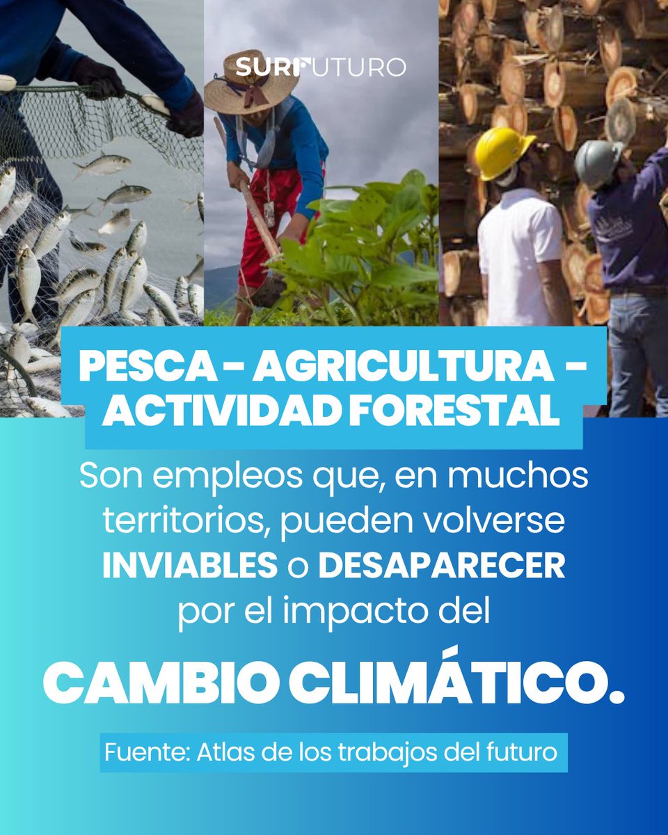 Sur futuro tweet media