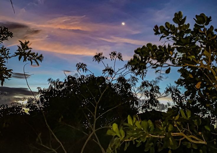 Taha Murtaza tweet media