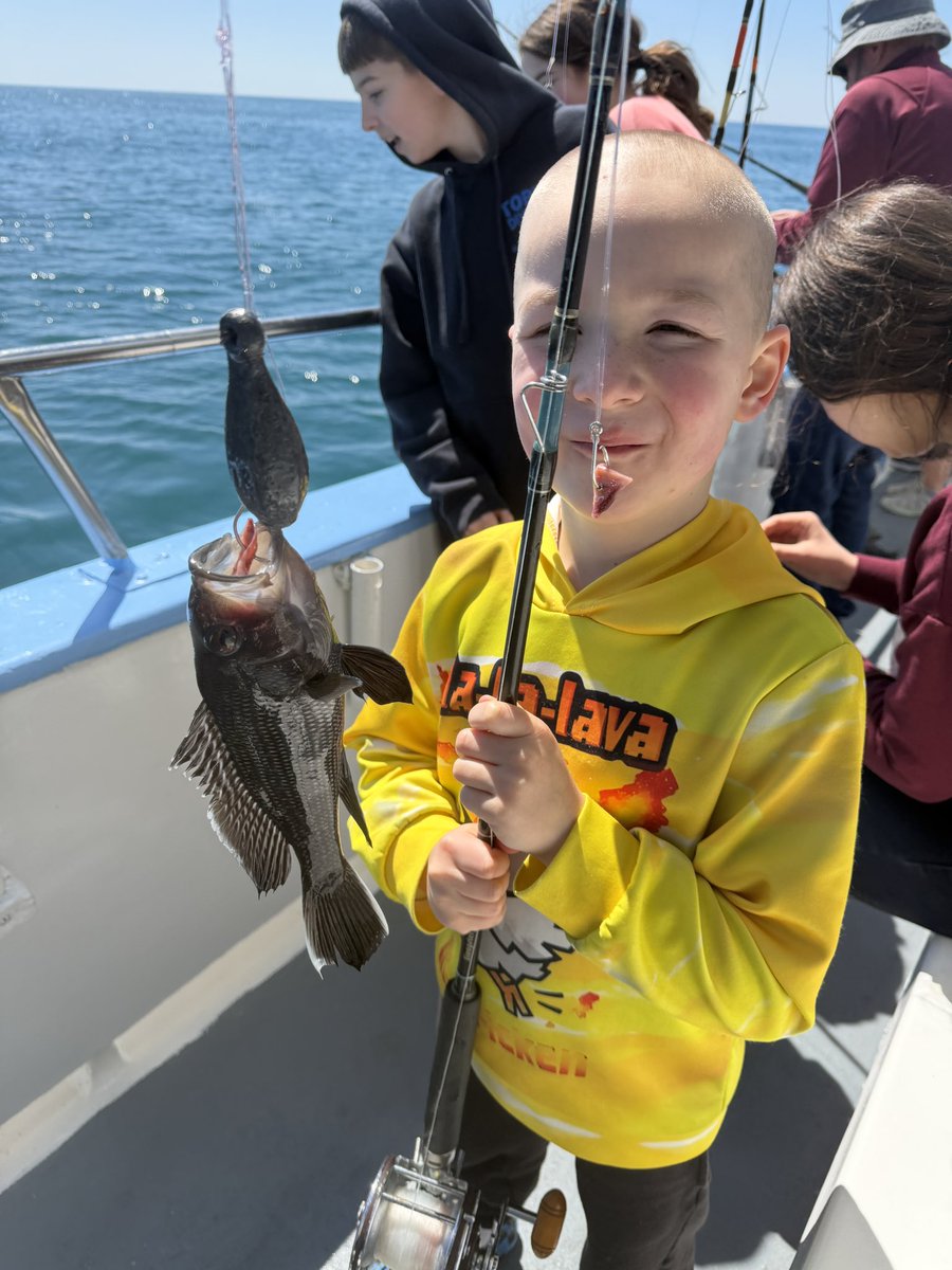 Shaun Tabatt tweet media