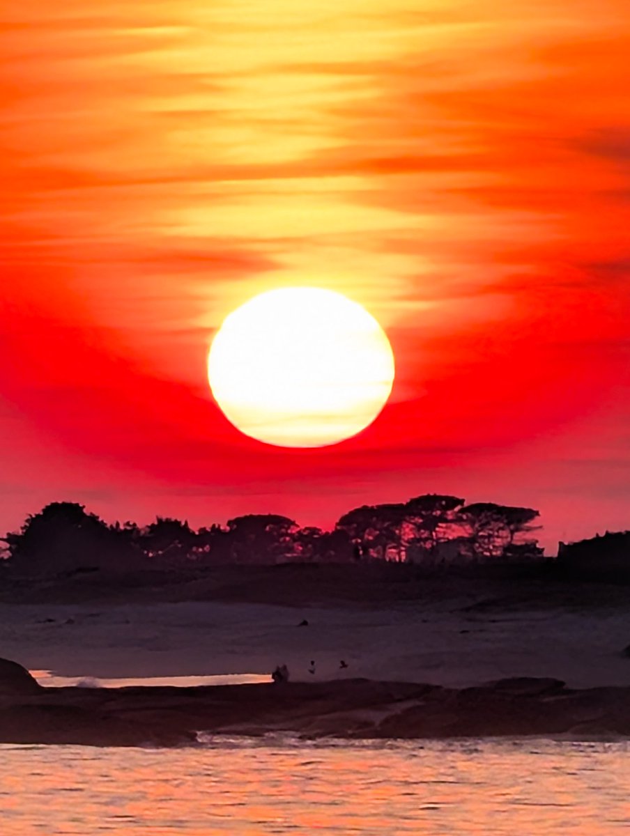 Xray_breizh tweet media