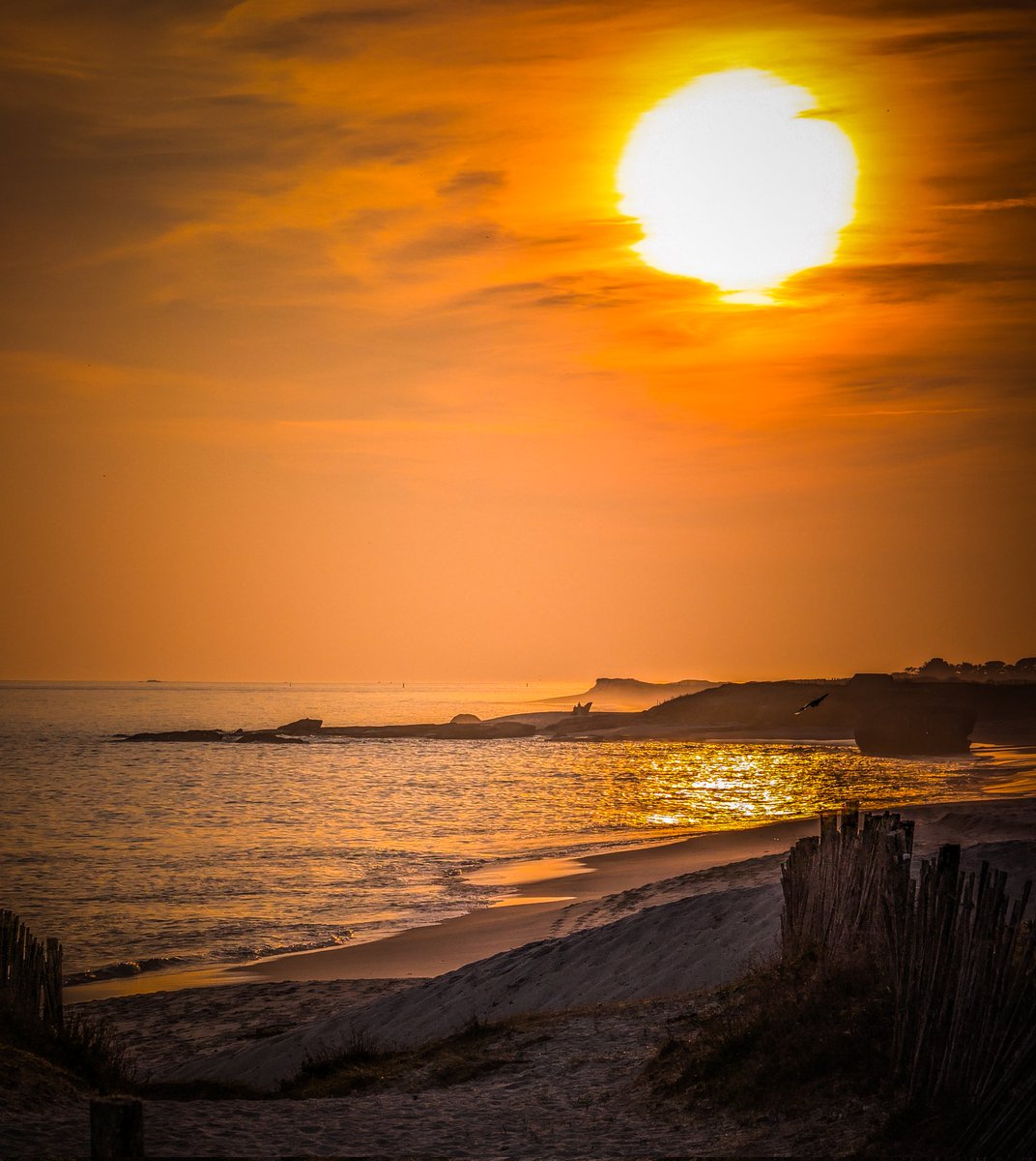 Xray_breizh tweet media