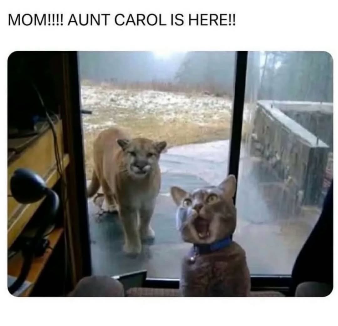 LAnDo NIFFIRG™️🇨🇦 tweet media