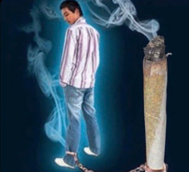 vinoypastis (@vinoypastillas) on Twitter photo 