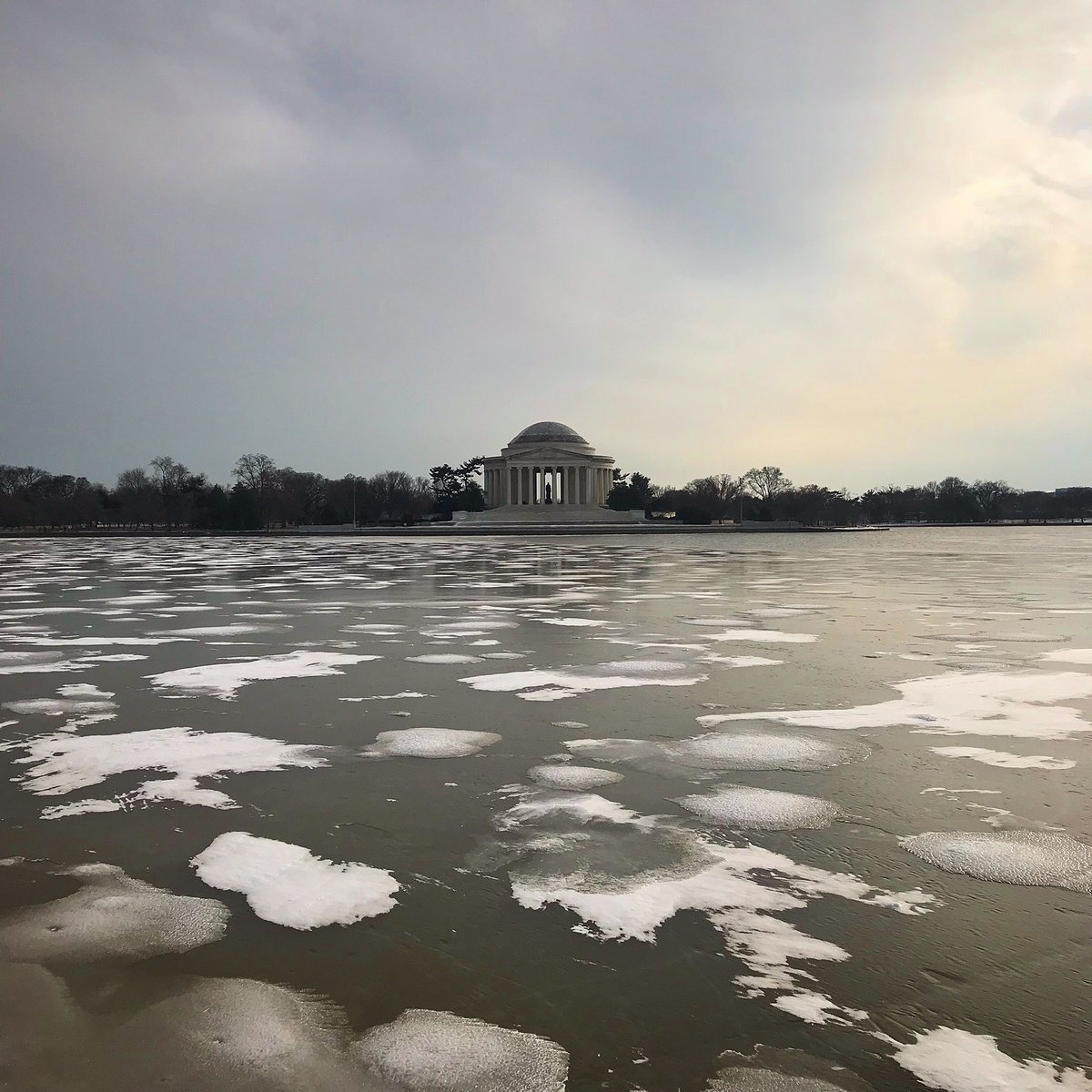 Chris Laudicina tweet media