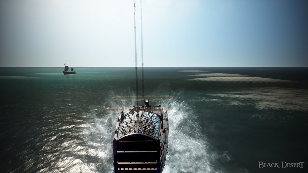 ほうちゃんが行く‼︎ tweet media