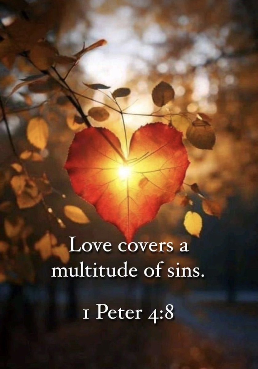 Saltlife1👠 tweet media