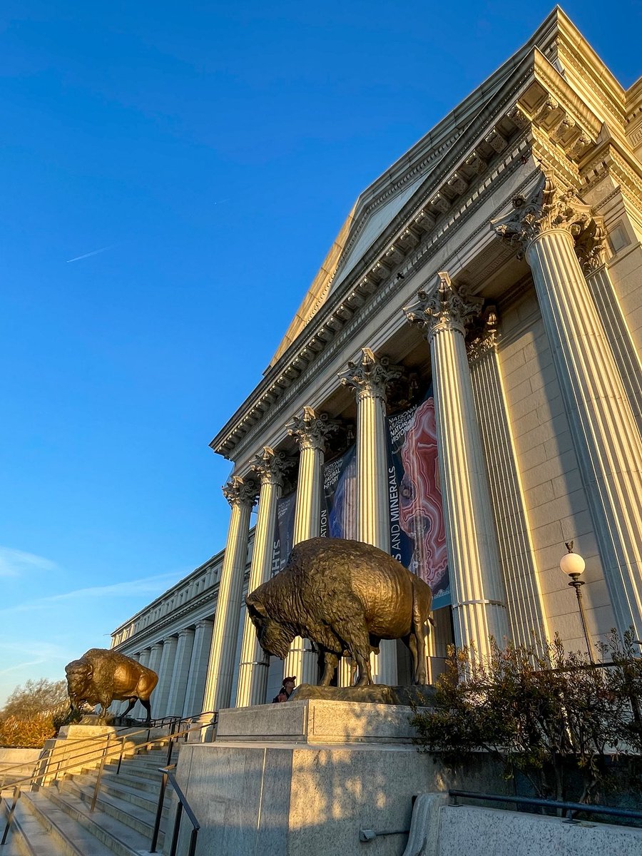 BuffaloRon tweet media