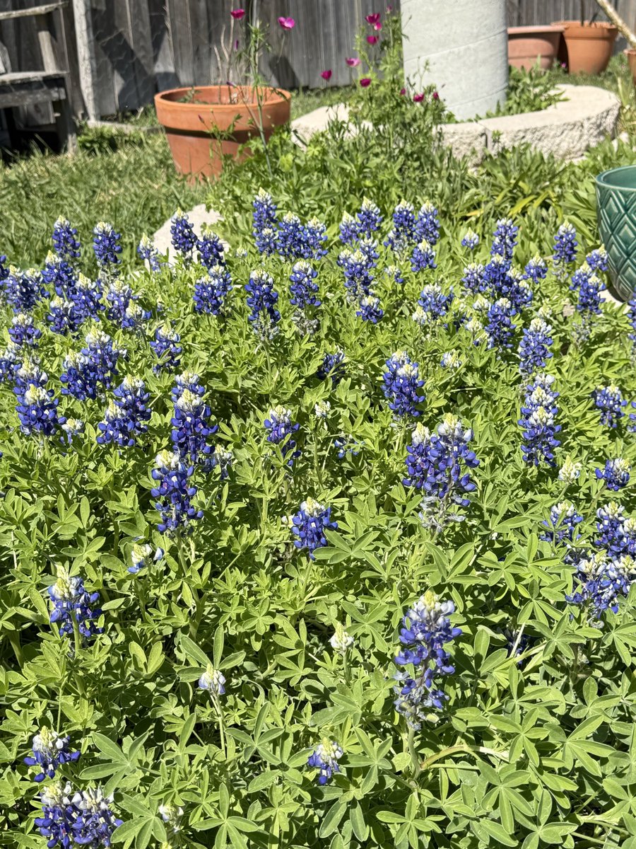 KP Hooker🧶 tweet media