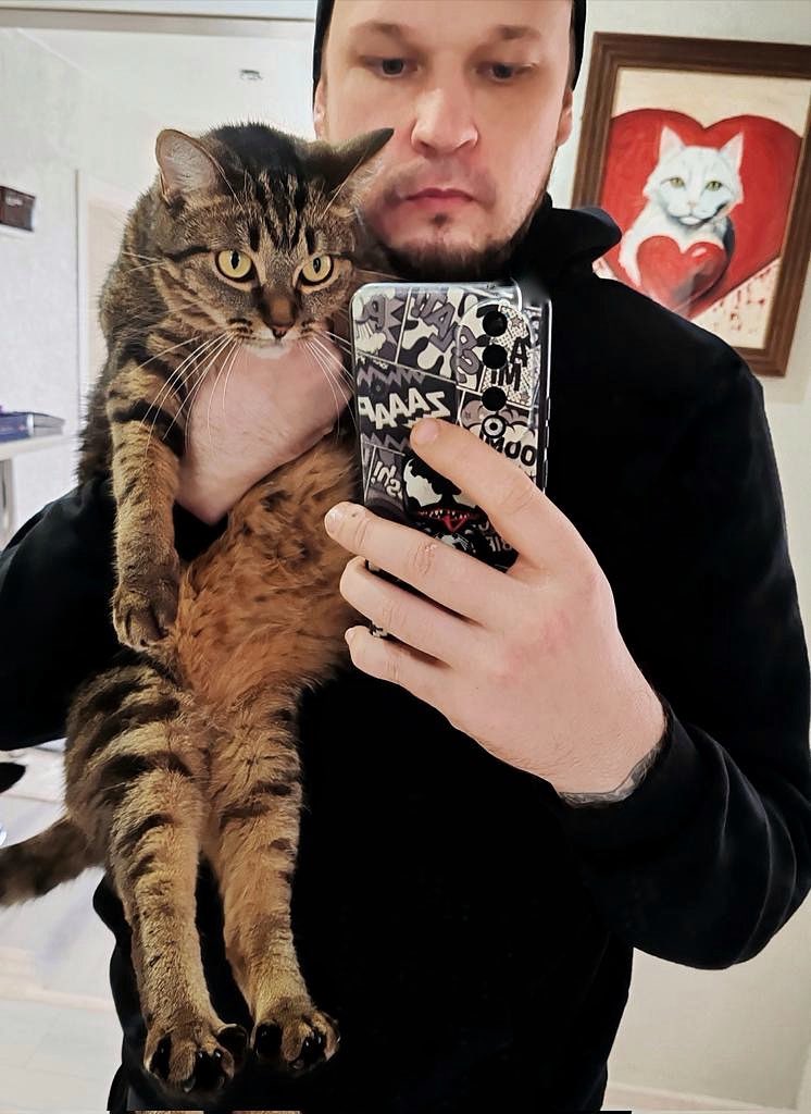 Кот Да Винчи tweet media