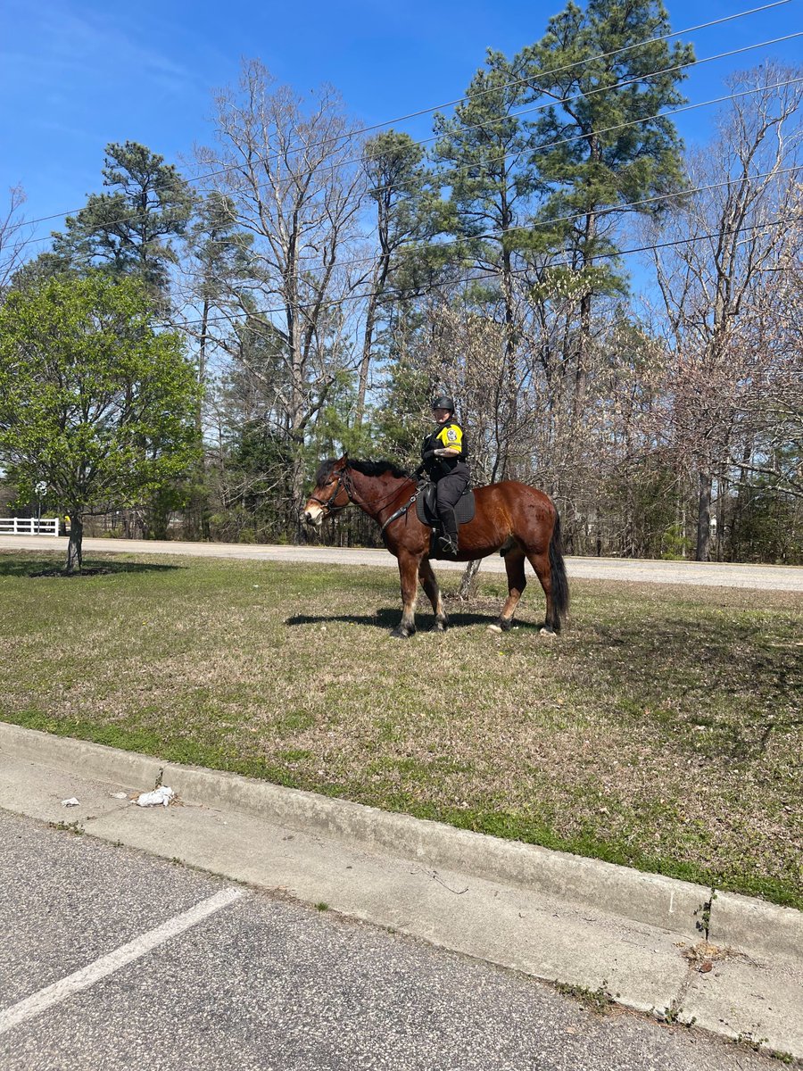Chesterfield County Sheriff's Office VA tweet media