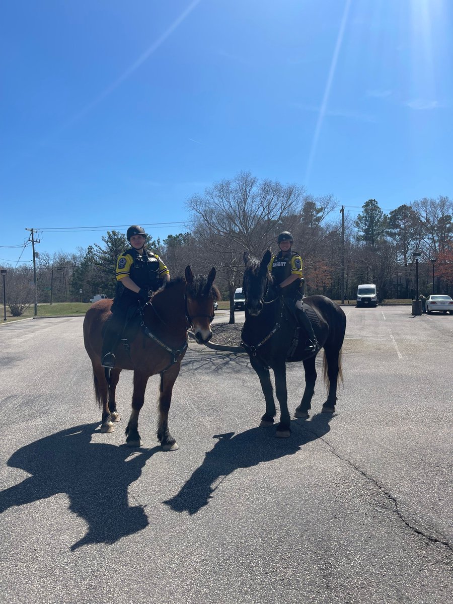 Chesterfield County Sheriff's Office VA tweet media