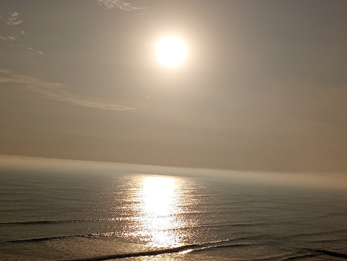 multipolar tweet media