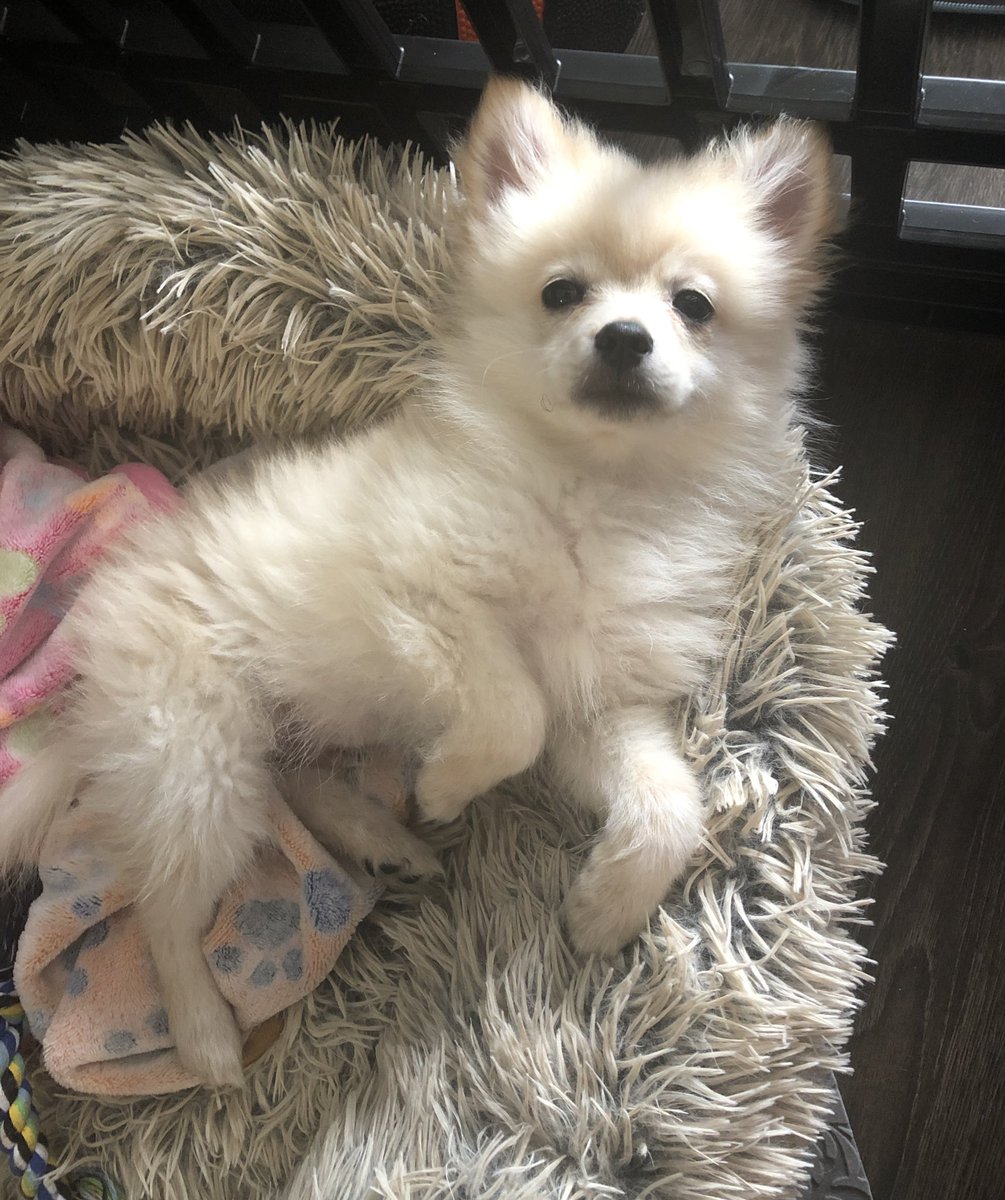 Angela Bassett’s Oscar tweet media