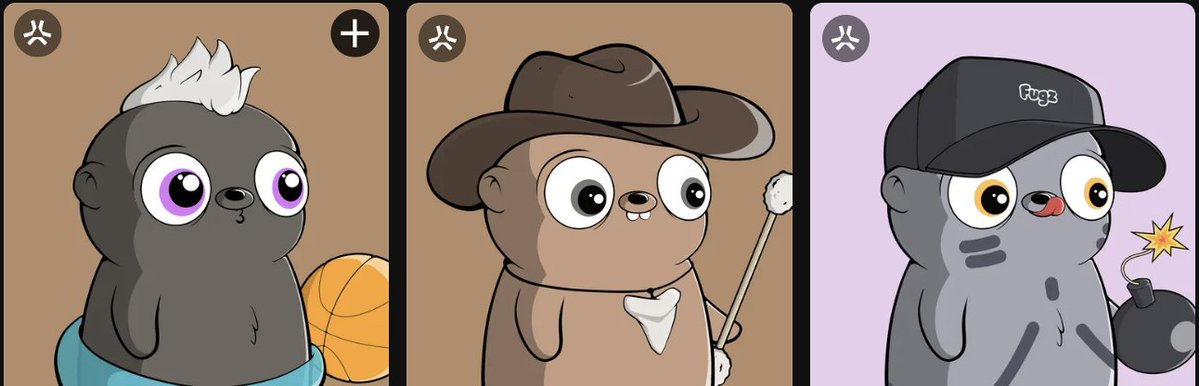 Motha Raka tweet media