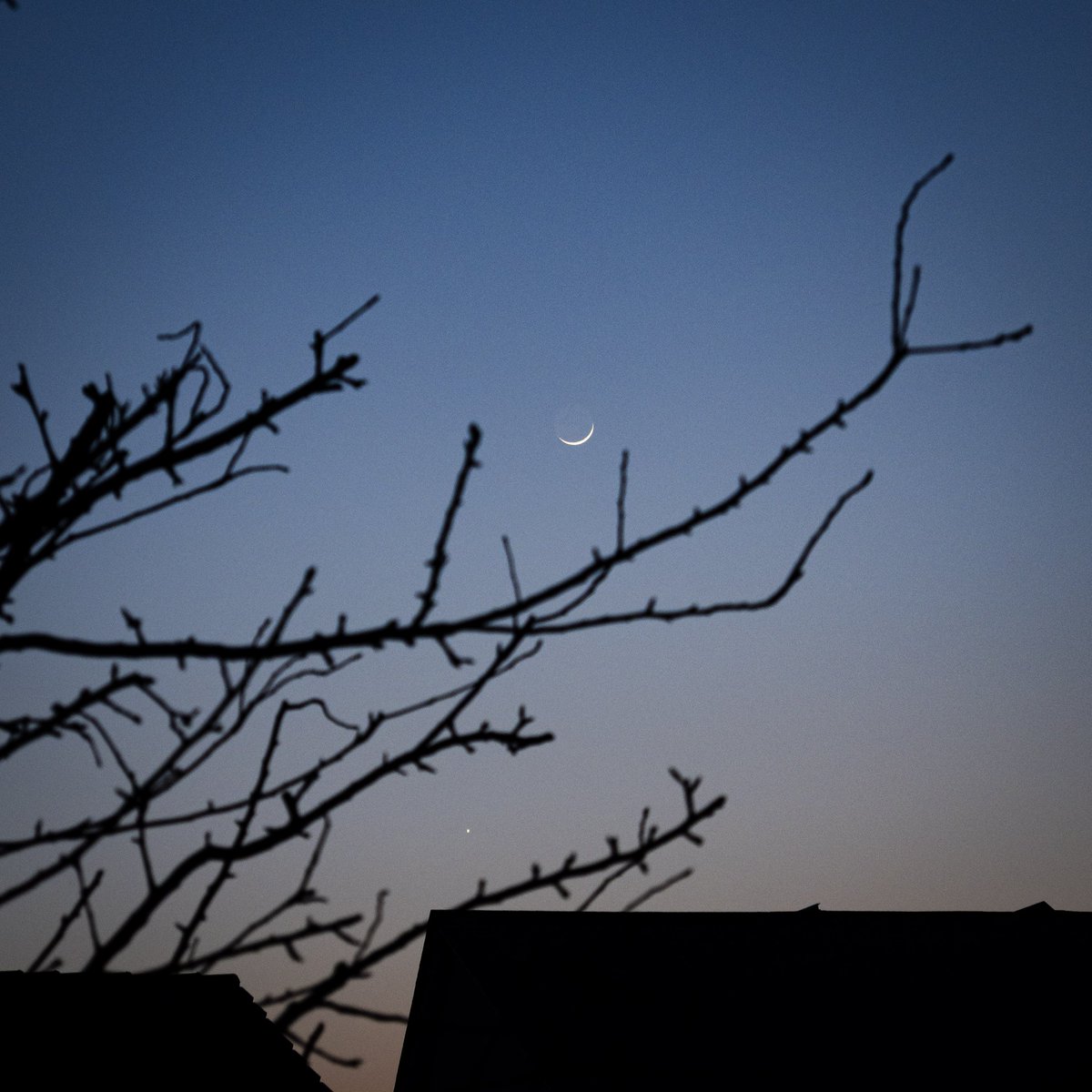 ☄️🌌🔭 ✖️Dam ⚡🌱🐙 tweet media