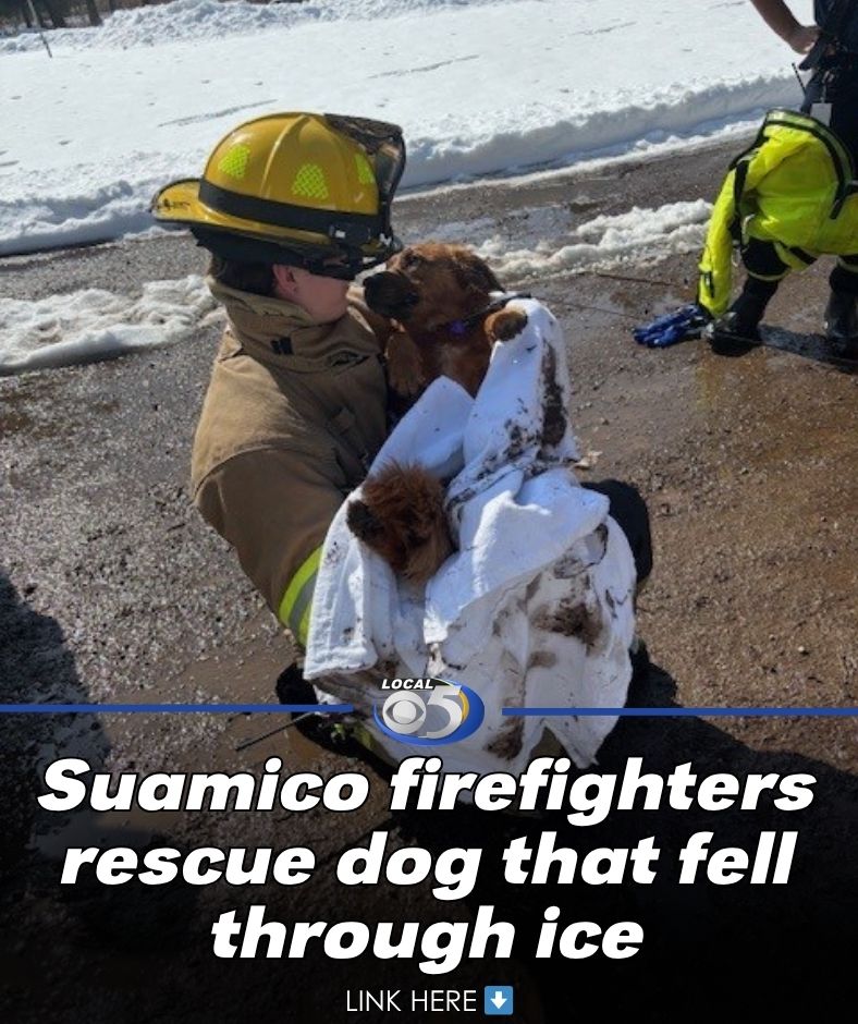 WFRV Local 5 tweet media