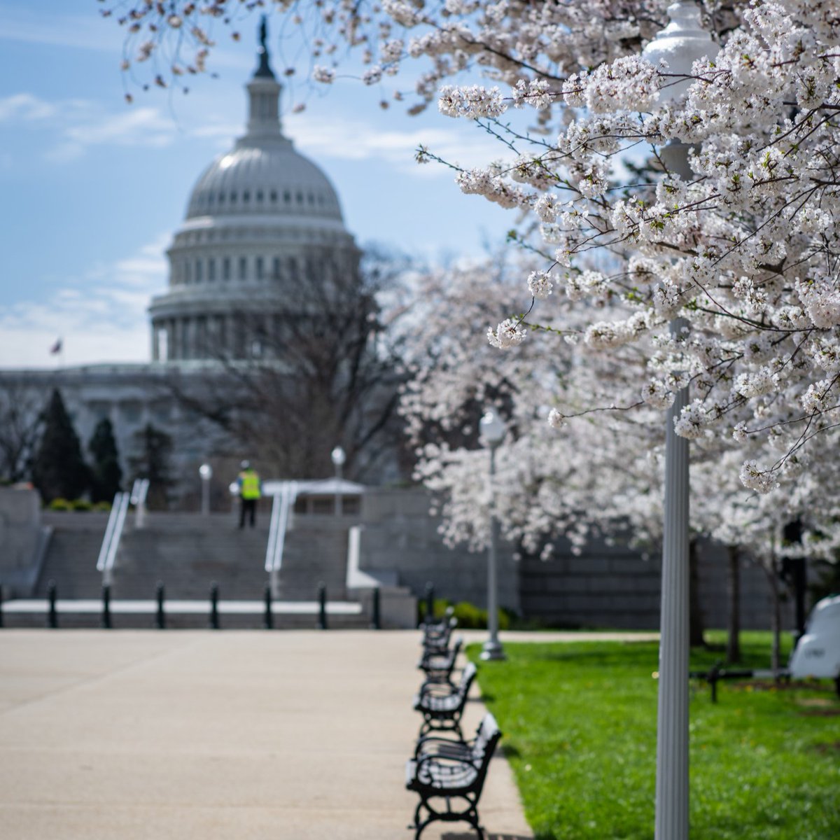 U.S. Capitol tweet media