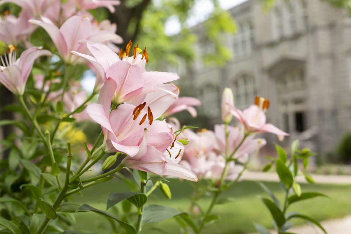 University of Central Missouri tweet media