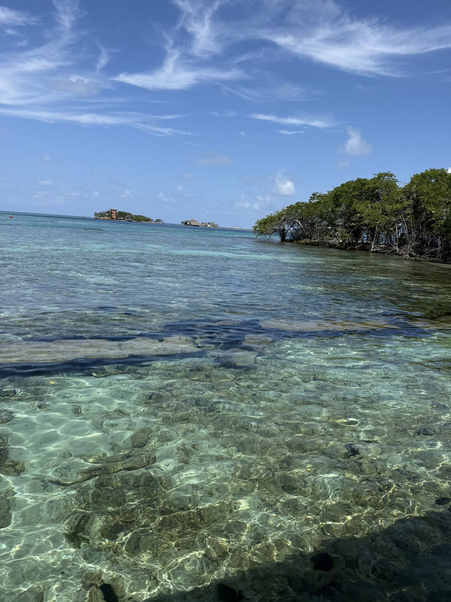 𝗝𝗼𝗻 𝗙𝗹𝗼𝗿𝗲𝘀 tweet media