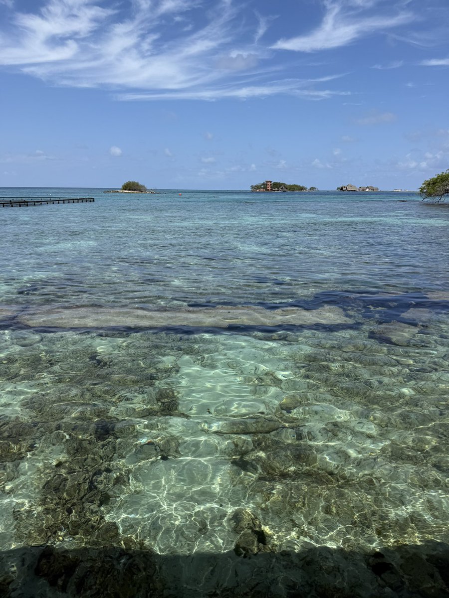 𝗝𝗼𝗻 𝗙𝗹𝗼𝗿𝗲𝘀 tweet media