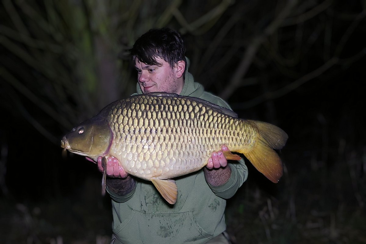 Jamie Williams tweet media