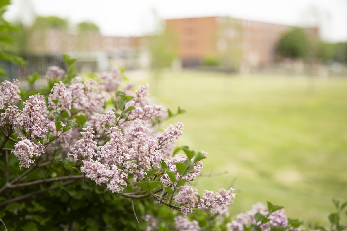 University of Central Missouri tweet media