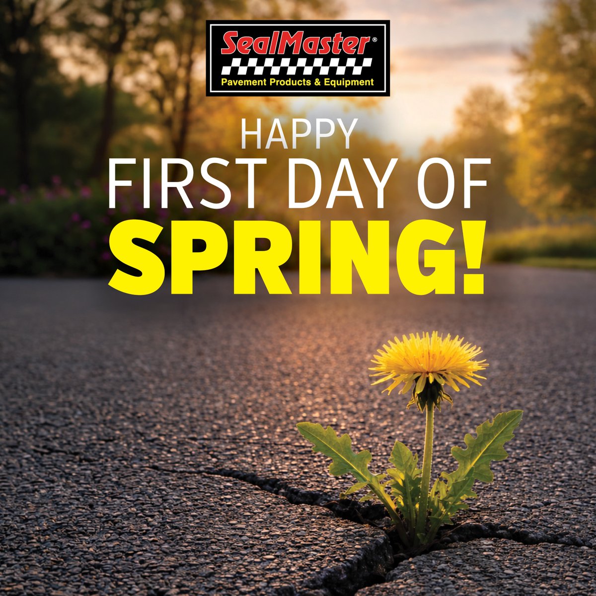 SealMaster Official tweet media