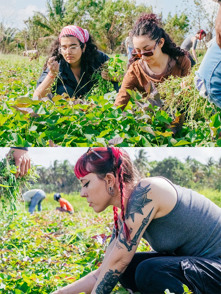 The People's Forum tweet media