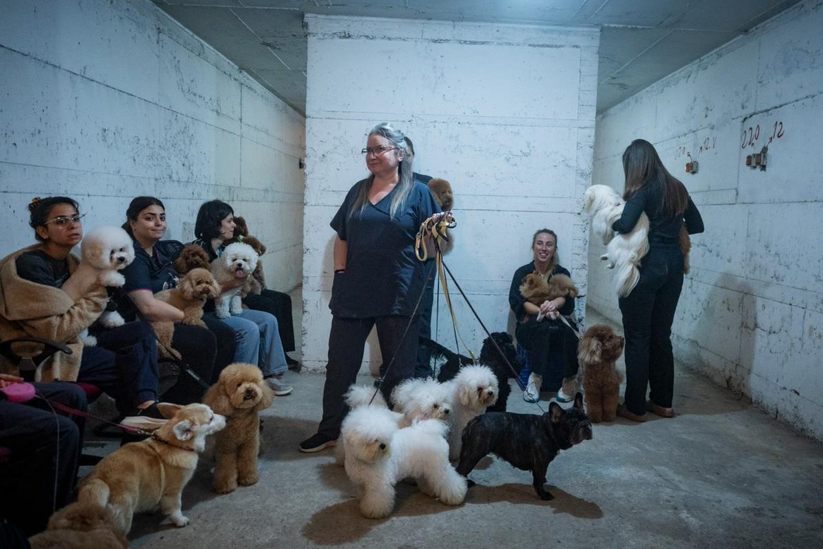 StandWithUs tweet media