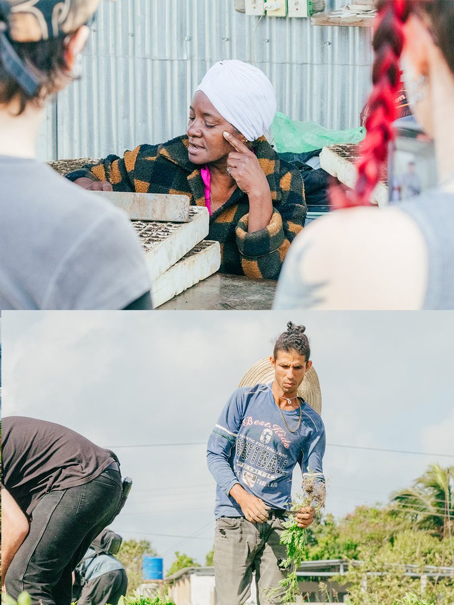 The People's Forum tweet media