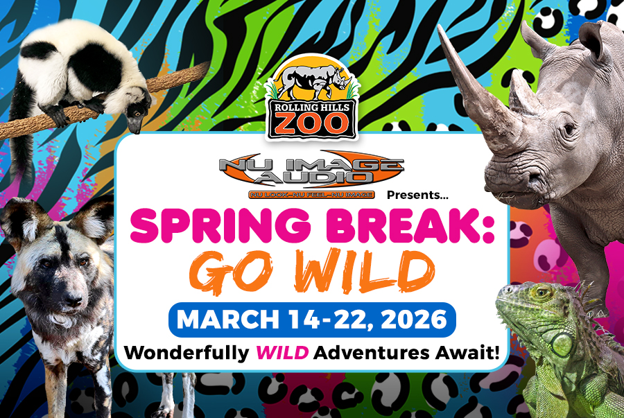 RollingHillsZoo tweet media