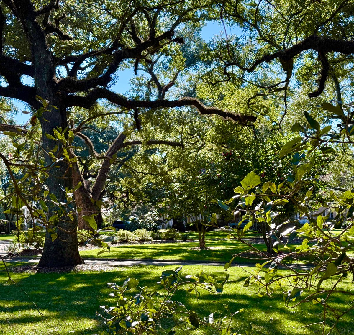 Alabama School of Math and Science tweet media