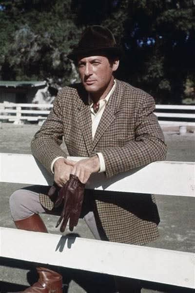 Archive of Old DILFS, Movies, Series and Music. tweet media