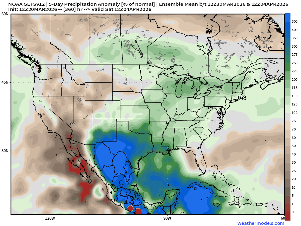 BAM Weather tweet media
