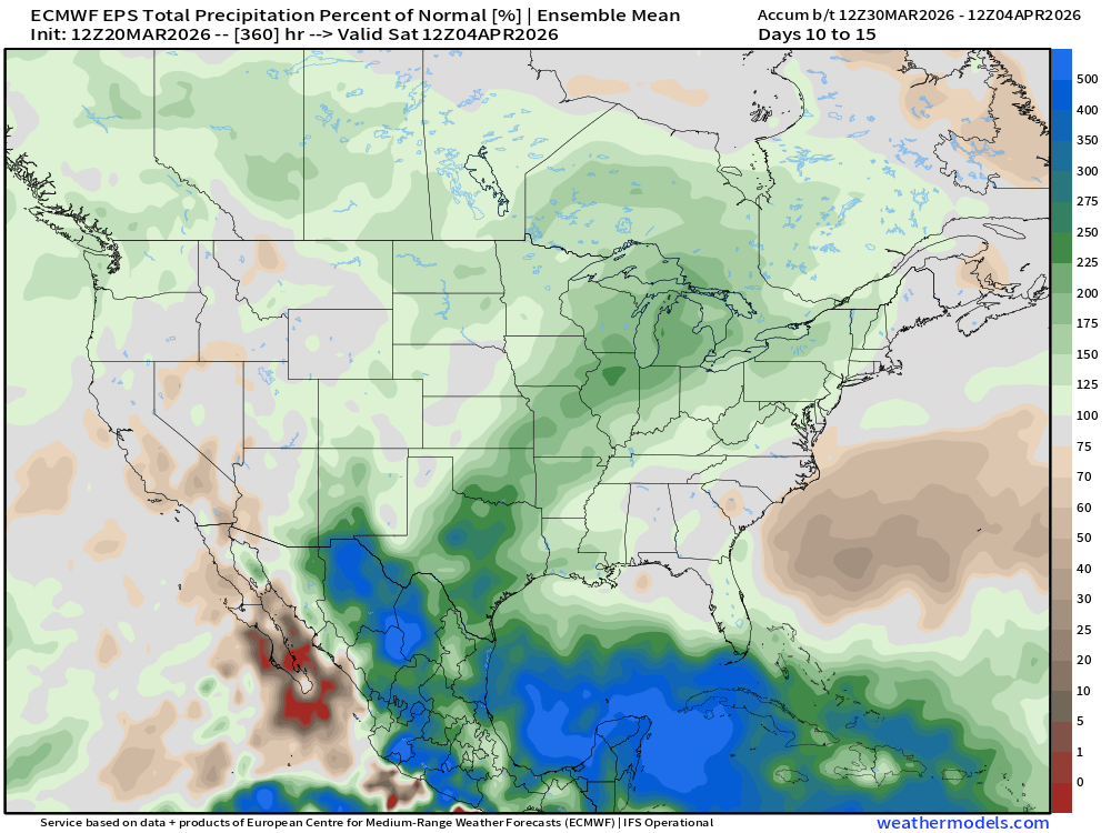 BAM Weather tweet media