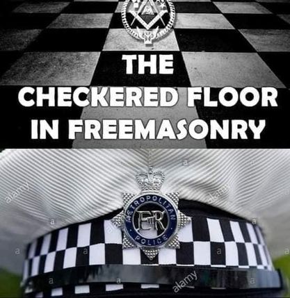 bailey blu tweet media