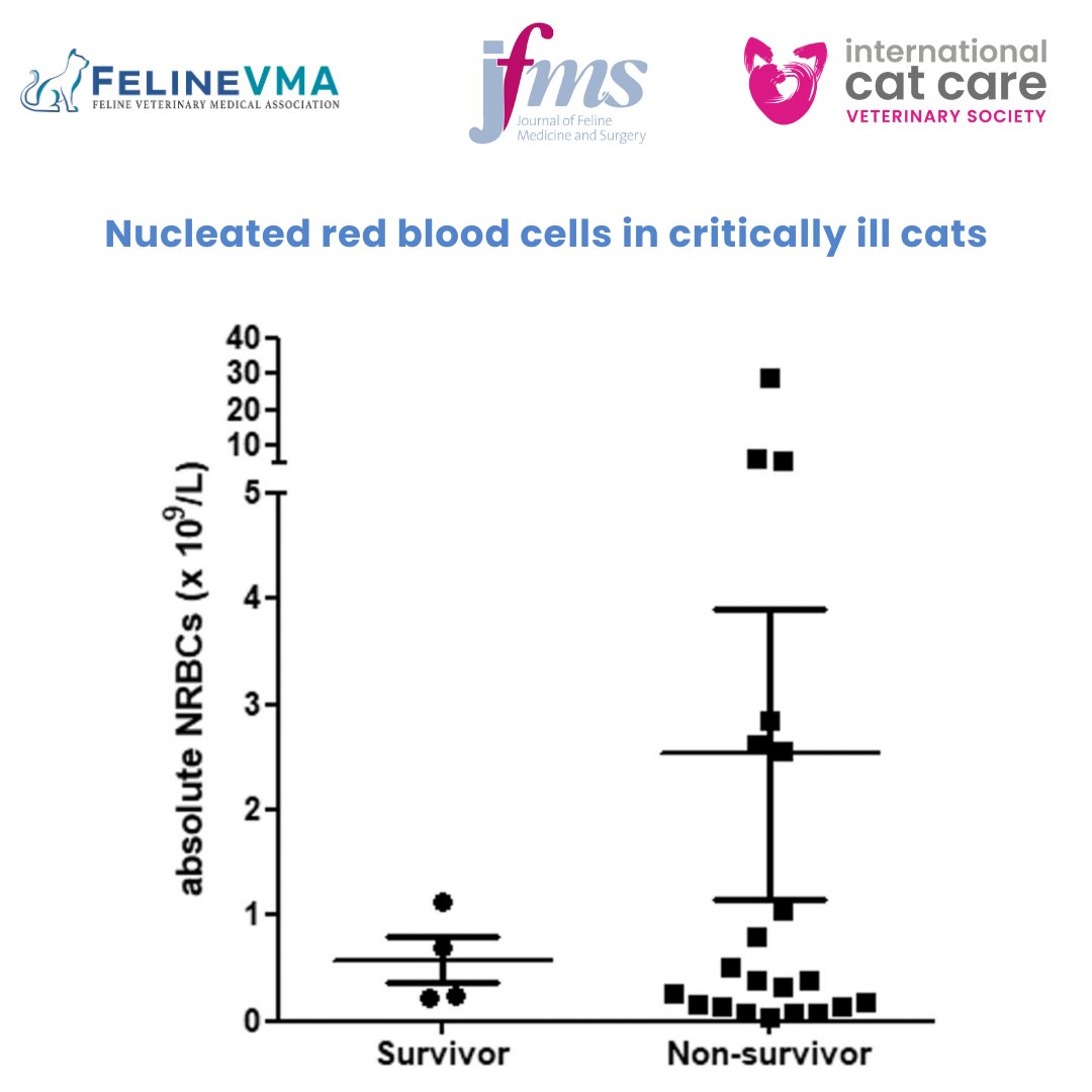 Feline Veterinary Medical Association tweet media