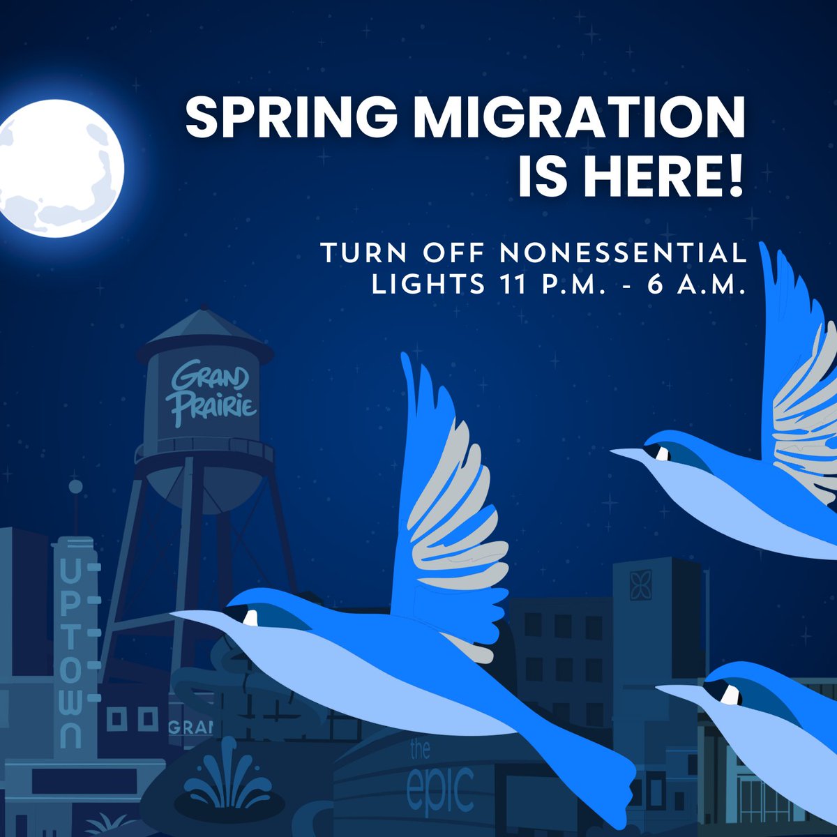 gp_tx's tweet image. Spring migration is here! 🐦
Many birds travel at night and use natural light to navigate. Artificial lights can confuse them, increasing collision risk. 

Turn off nonessential indoor &amp;amp; outdoor lights from 11  p.m.–6 a.m. to help keep night skies safe. #LightsOutGP #LightsOut