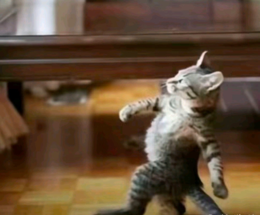 BlueBoyScout tweet media