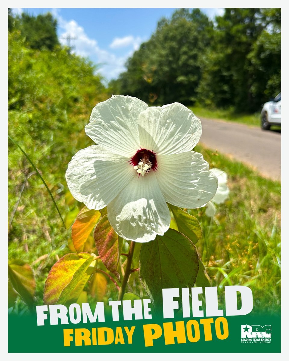 Railroad Commission of Texas tweet media