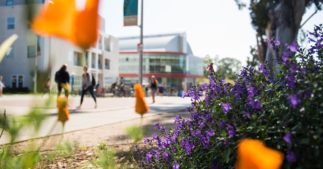 Cal Poly College of Liberal Arts tweet media