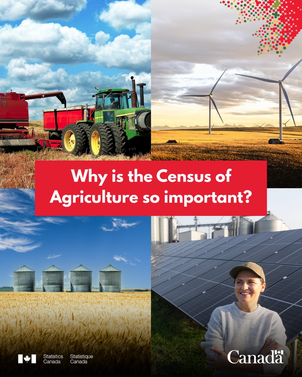 Statistics Canada tweet media