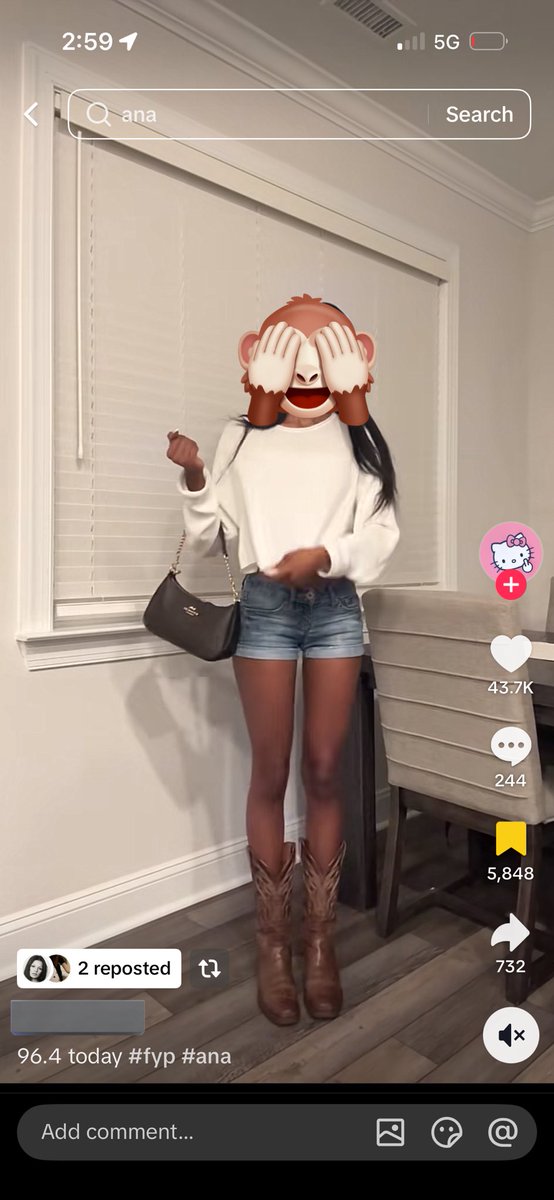 haven ❦ tweet media