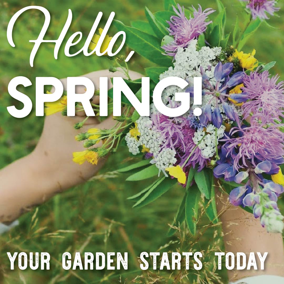 True Leaf Market tweet media