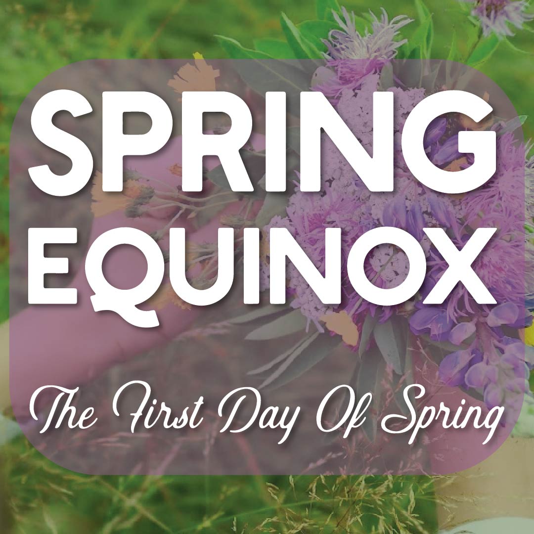 True Leaf Market tweet media