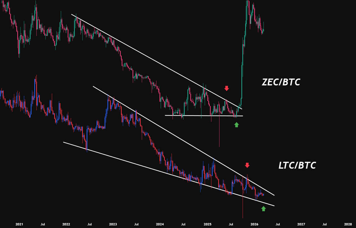 Minimilian tweet media